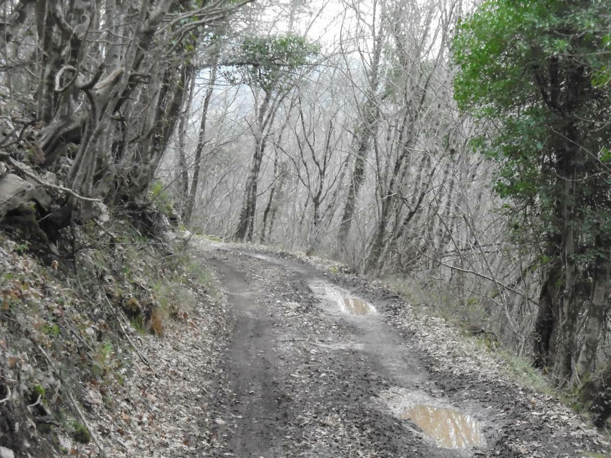 La Masseria Di Antonio E Teresina Colli a Volturno Exteriör bild