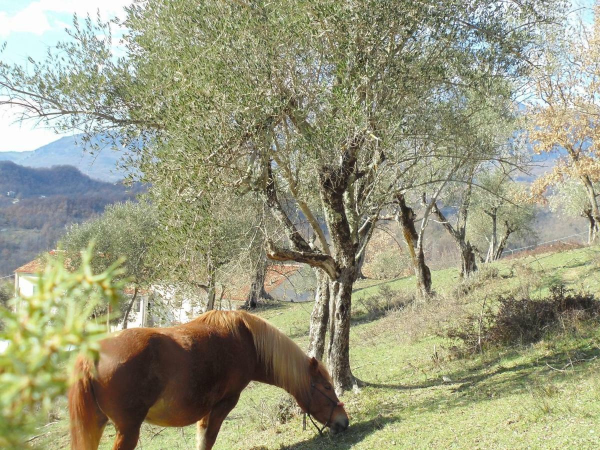 La Masseria Di Antonio E Teresina Colli a Volturno Exteriör bild