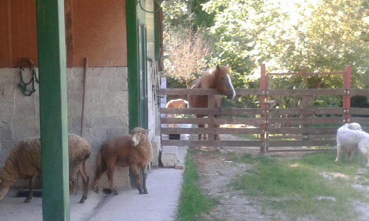 La Masseria Di Antonio E Teresina Colli a Volturno Exteriör bild
