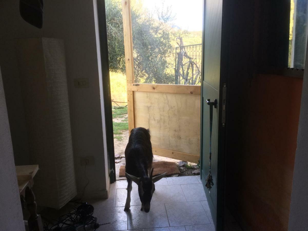 La Masseria Di Antonio E Teresina Colli a Volturno Exteriör bild