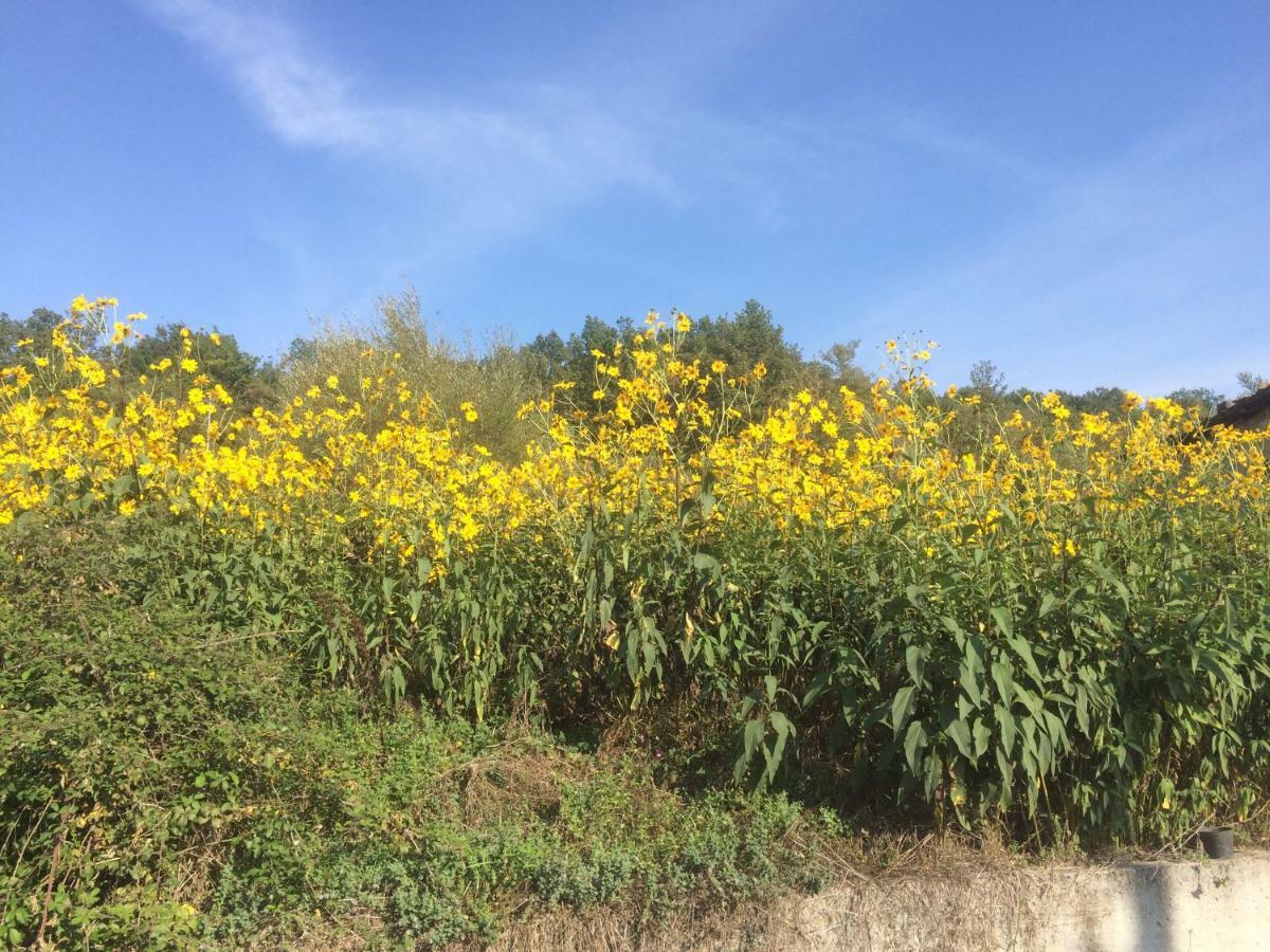 La Masseria Di Antonio E Teresina Colli a Volturno Exteriör bild