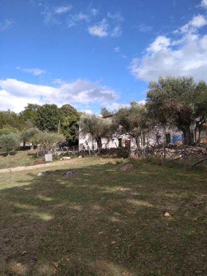 La Masseria Di Antonio E Teresina Colli a Volturno Exteriör bild