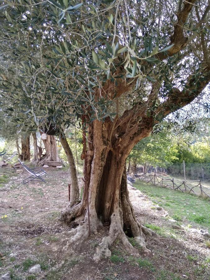 La Masseria Di Antonio E Teresina Colli a Volturno Exteriör bild